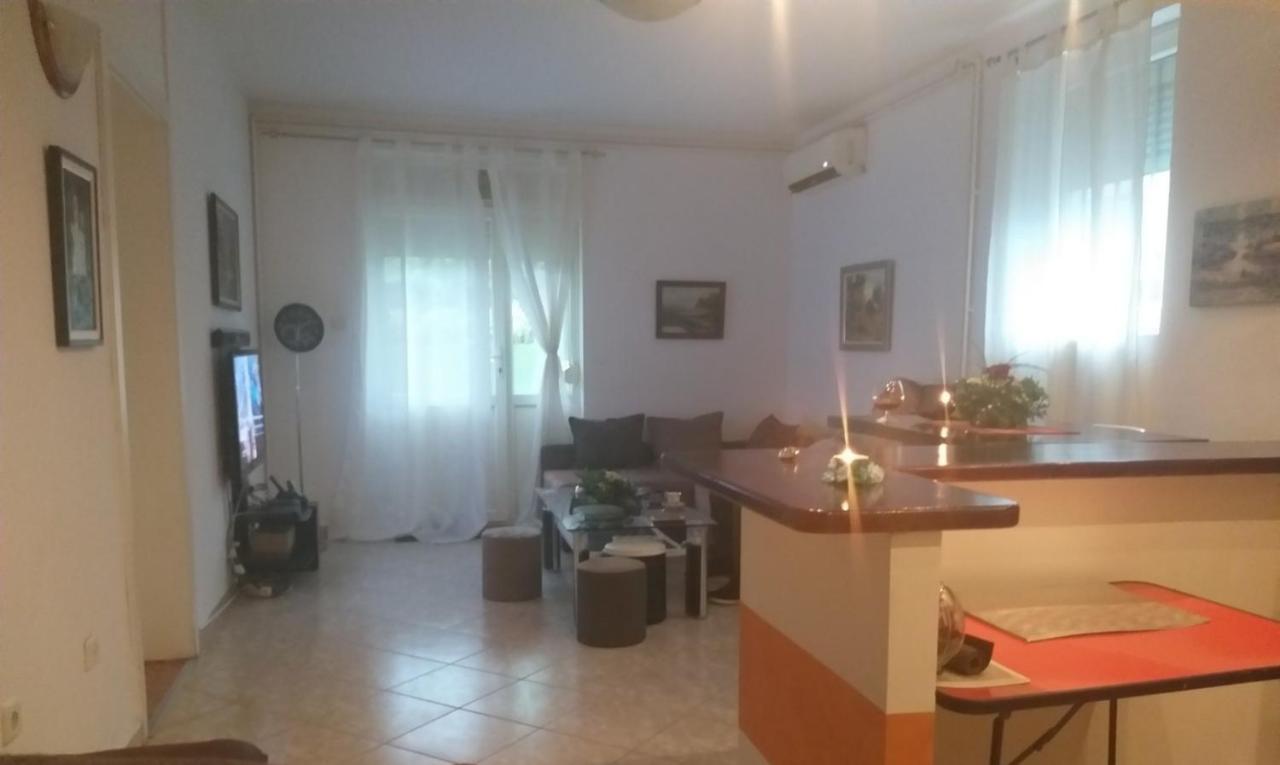 Apartman Nv Apartment Vrnjacka Banja Exterior photo