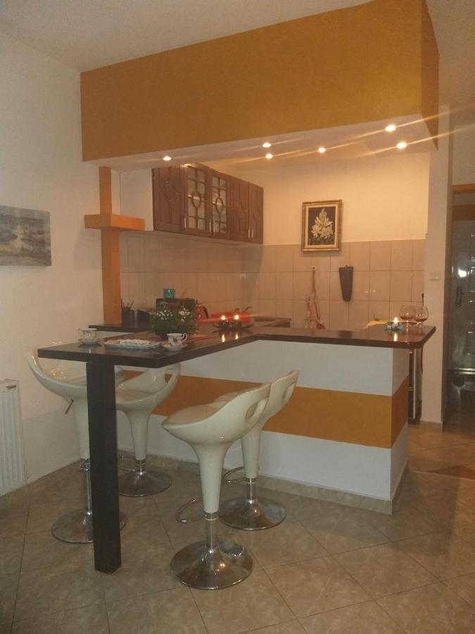 Apartman Nv Apartment Vrnjacka Banja Exterior photo