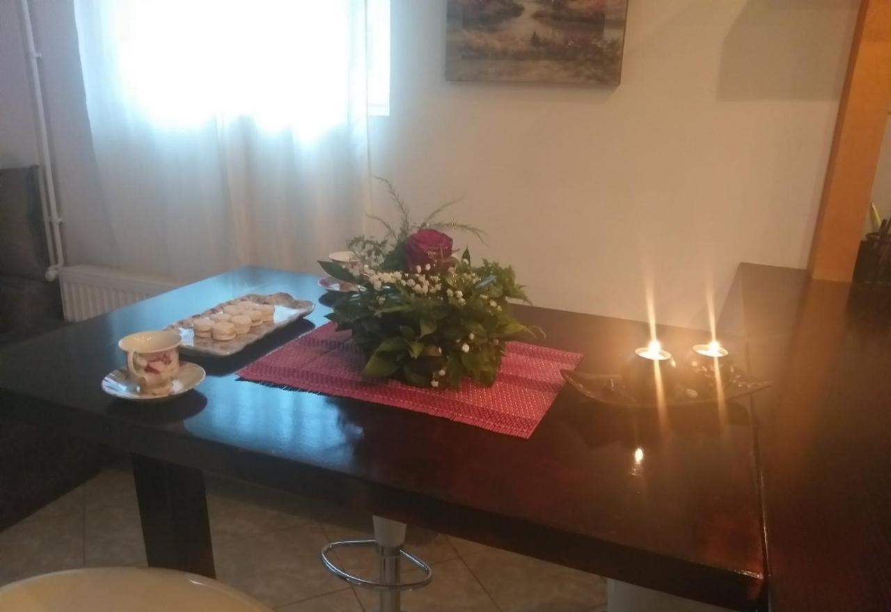 Apartman Nv Apartment Vrnjacka Banja Exterior photo